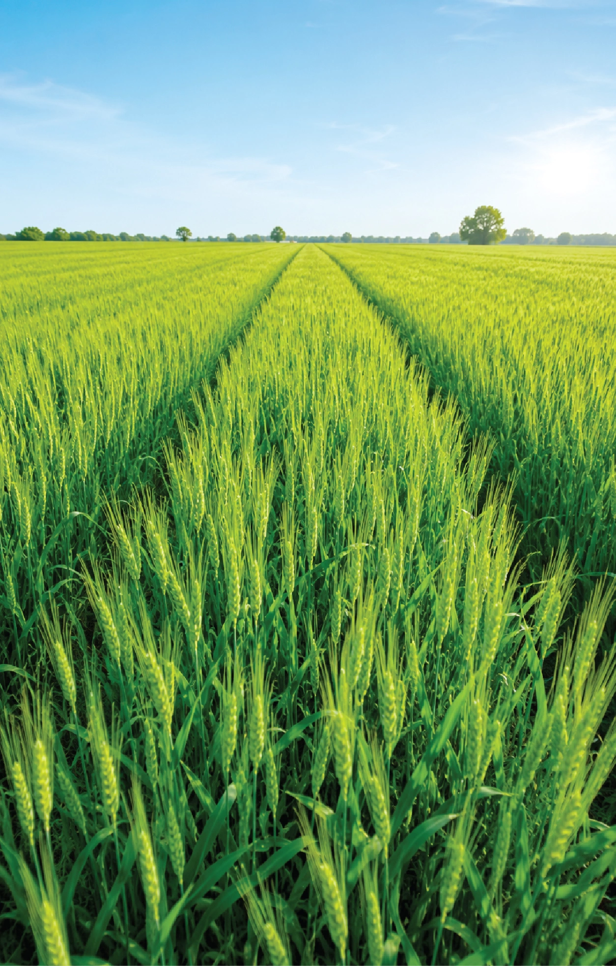 Sustainable farming